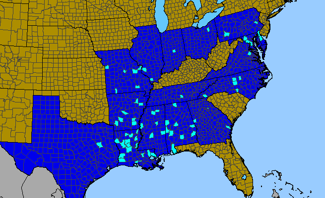 The range of Quercus acutissima